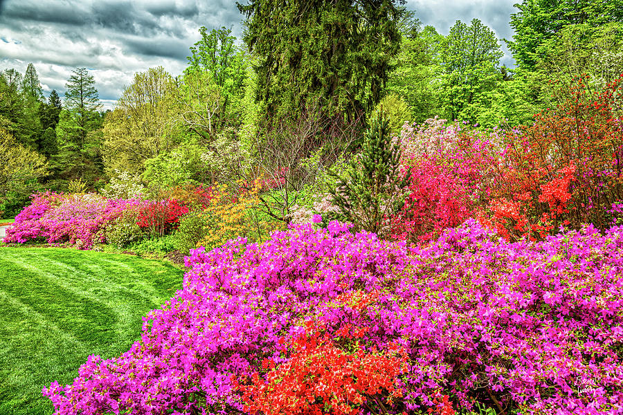 Biltmore Estate Gardens and Grounds Asheville North Carolina Photograph ...