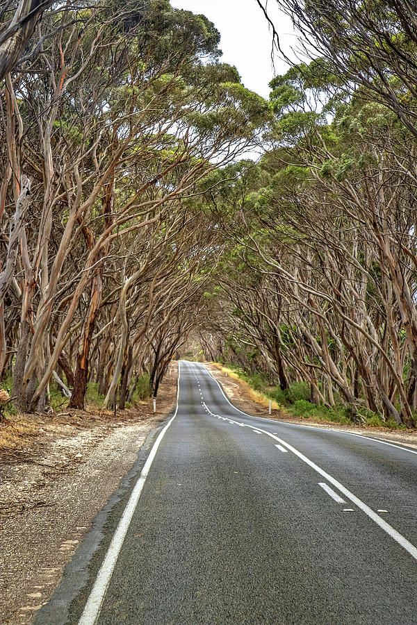 Kangaroo Island Australia #25 Photograph by Paul James Bannerman