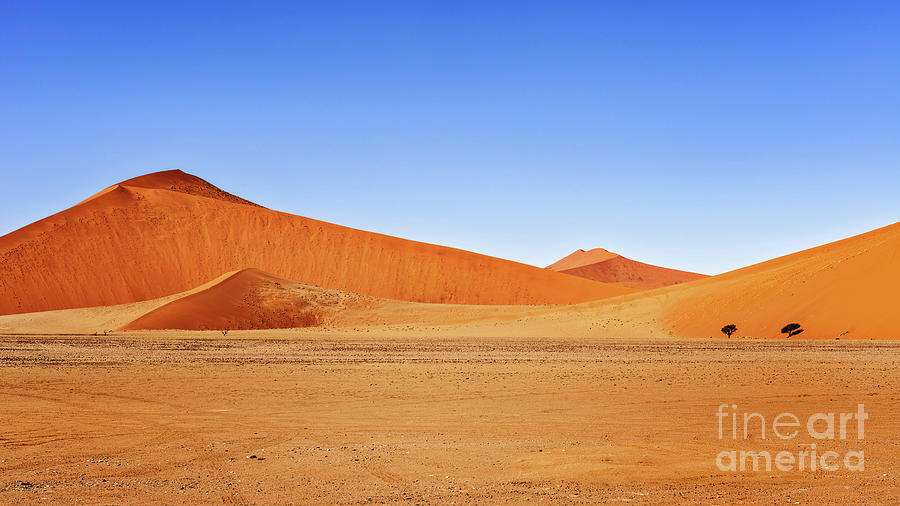 Sand Dune In The Namibian Desert Near Sossusvlei In Namib-Nauklu ...