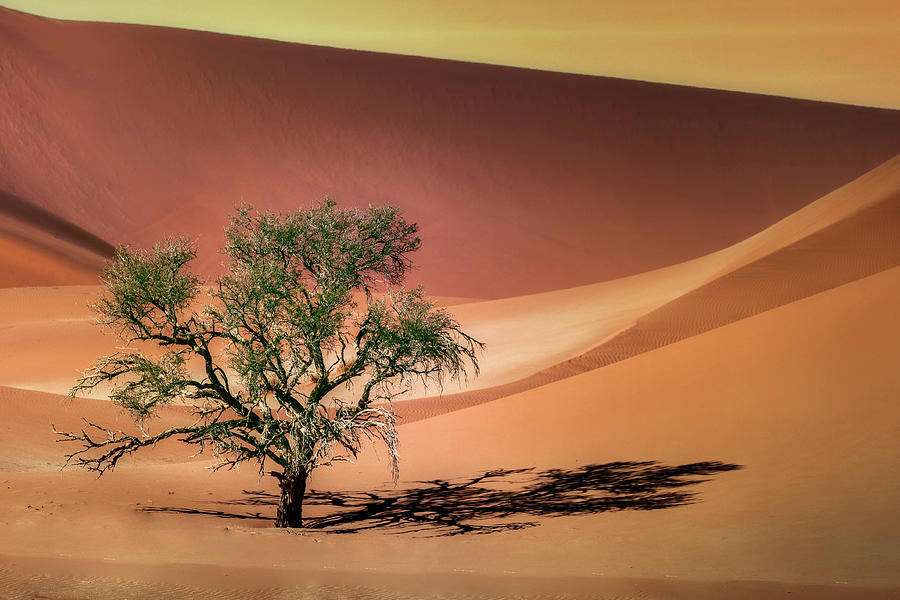 Sossusvlei - Namibia #25 Photograph by Joana Kruse