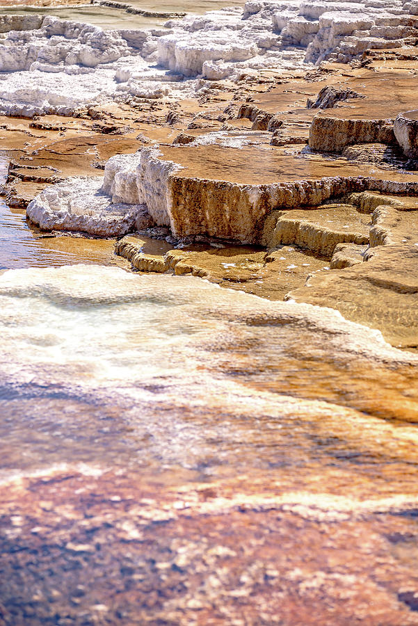Travertine Terraces, Mammoth Hot Springs, Yellowstone #25 Photograph by Alex Grichenko