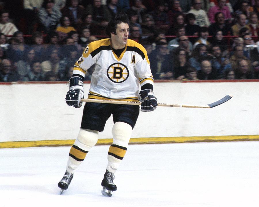 Boston Bruins #255 Photograph by Steve Babineau