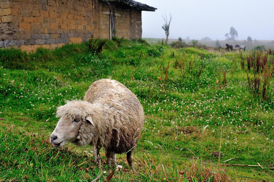 Chachapoyas - Peru Photograph by Carlos Mora - Fine Art America