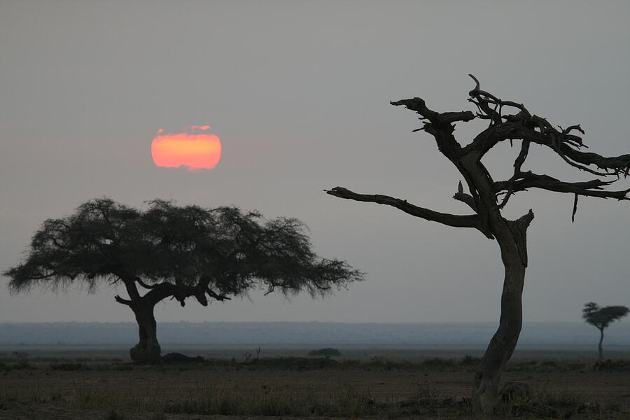 Africa #26 Photograph by John Walsh Africa #26 Photograph by John Walsh
