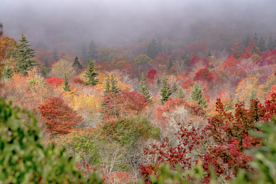 Autumn in the Appalachian Mountains Viewed Along the Blue Ridge  #26 Photograph by Alex Grichenko