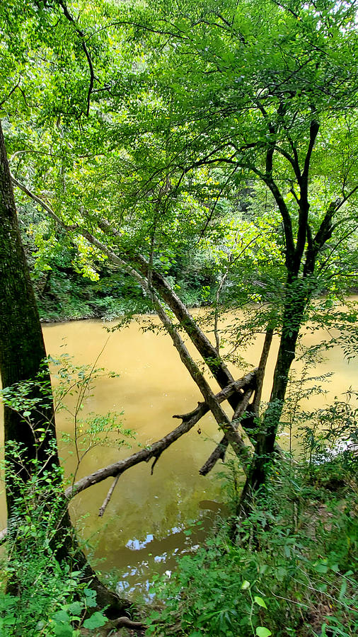 Cahaba River Walk Park #26 Photograph by Kenny Glover
