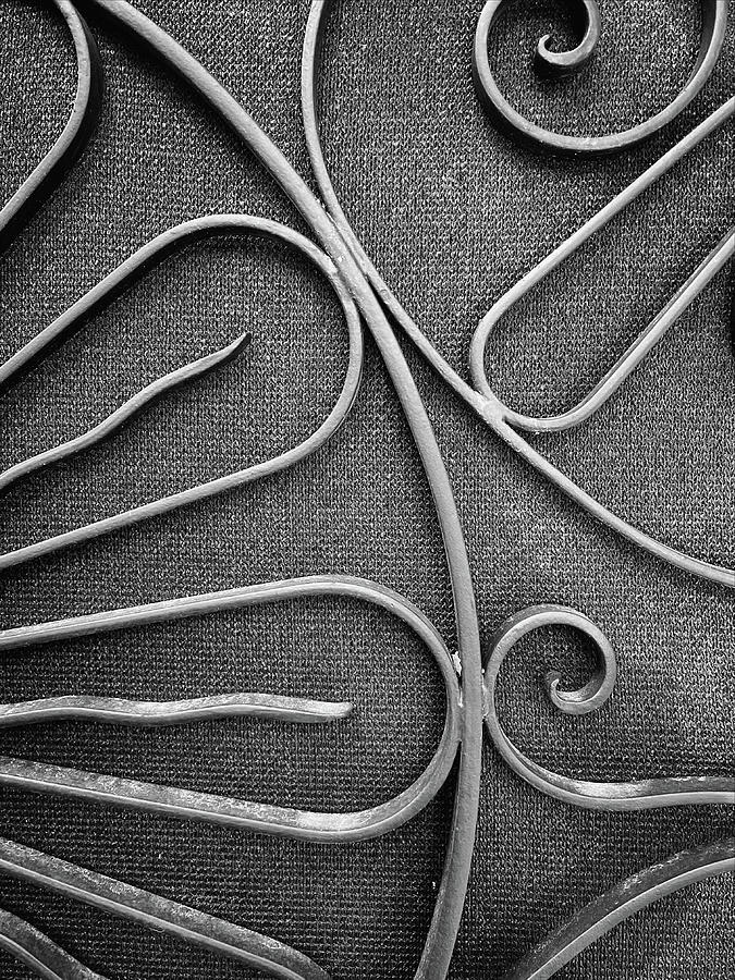 Charleston Wrought Iron Garden Gate in Detail, South Carolina #26 Photograph by Dawna Moore Photography