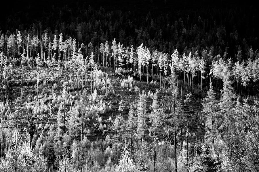 High Tatra Mountains #26 Photograph by Robert Grac