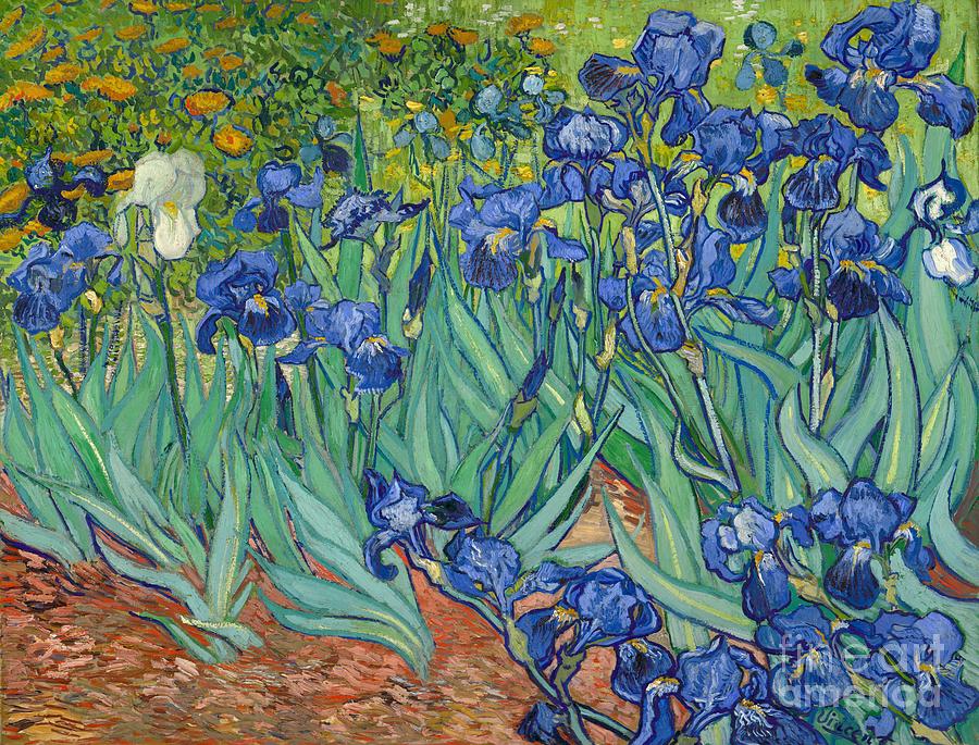 Vincent Van Gogh Painting - Irises #26 by Vincent van Gogh