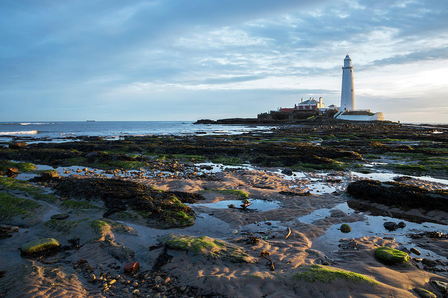 Saint Marys Lighthouse at Whitley Bay #26 Photograph by Ian Middleton