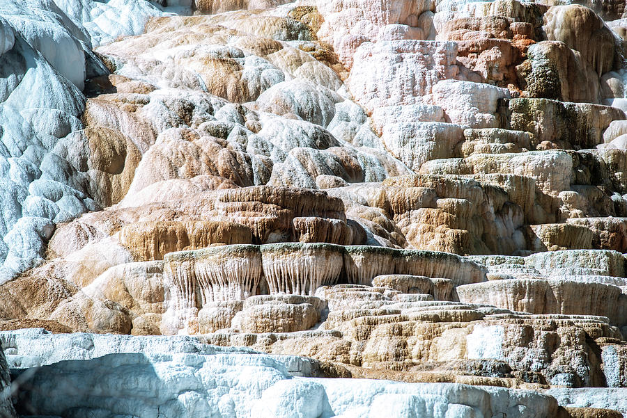 Travertine Terraces, Mammoth Hot Springs, Yellowstone #26 Photograph by Alex Grichenko