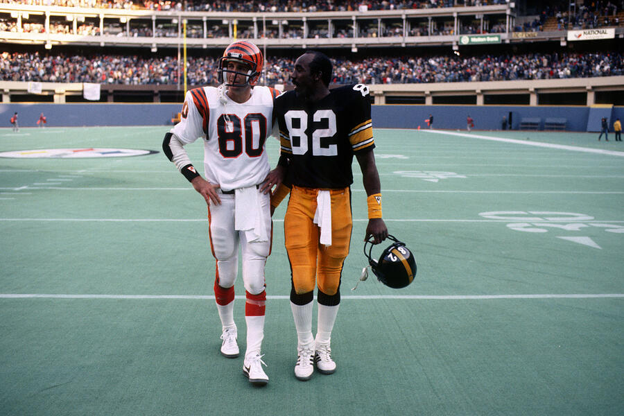 Cincinnati Bengals v Pittsburgh Steelers #265 Photograph by George Gojkovich