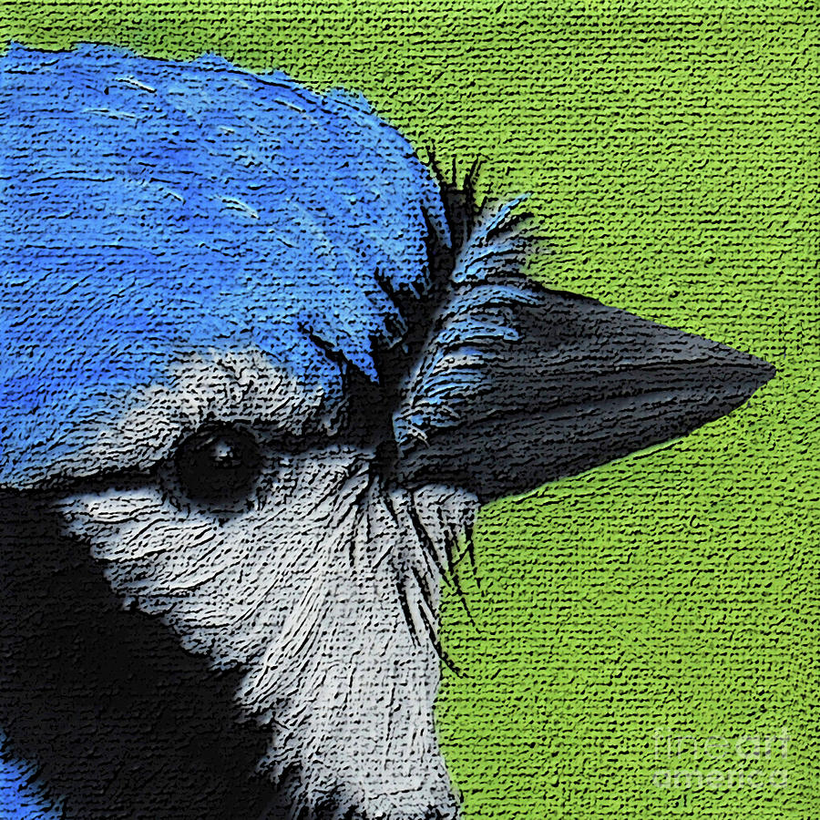 27 Blue Jay Painting by Victoria Page