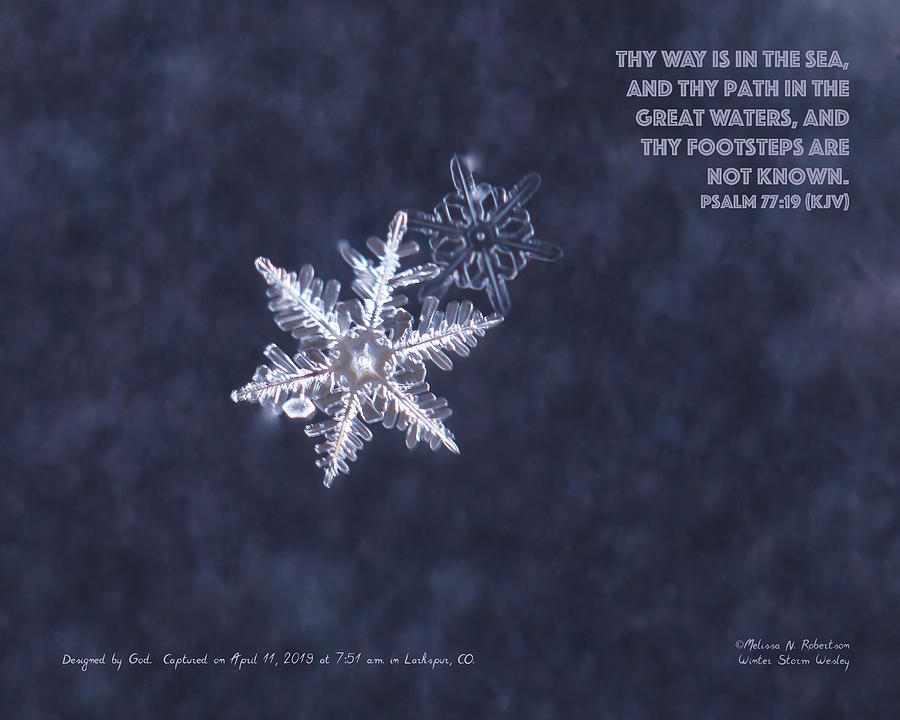 Inspirational Real Life Snowflake Photograph Bible Verse Scripture ...