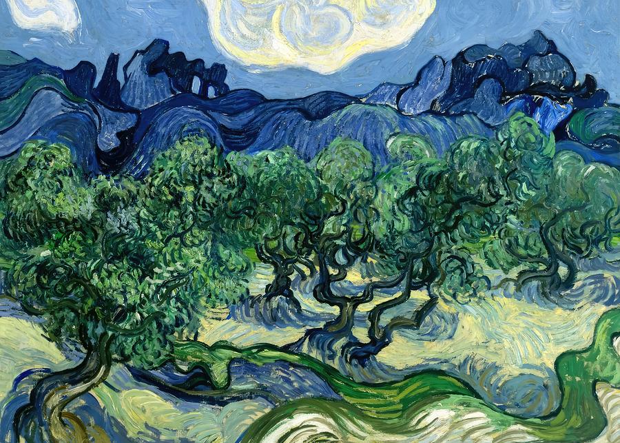 Olive Trees Painting by Vincent van Gogh | Fine Art America