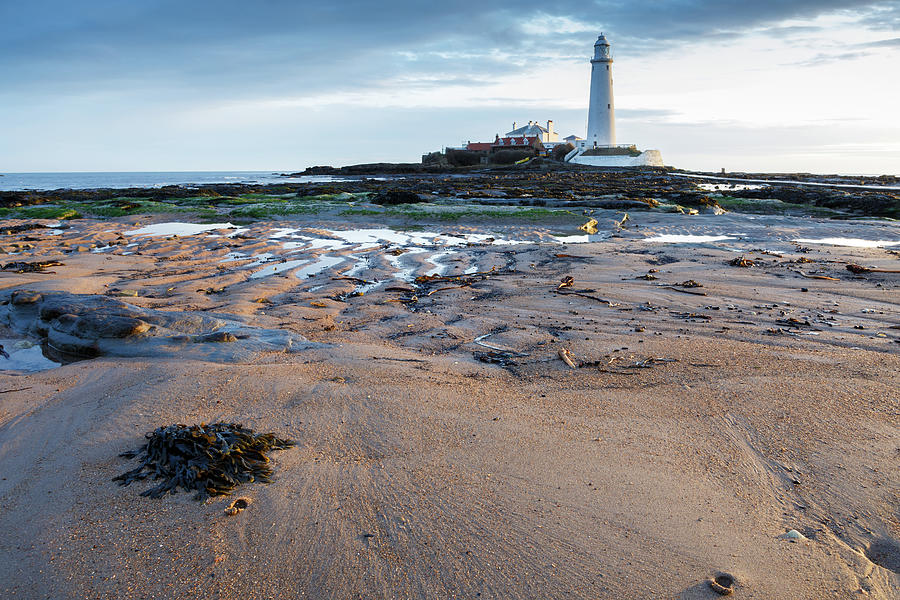 Saint Marys Lighthouse at Whitley Bay #27 Photograph by Ian Middleton