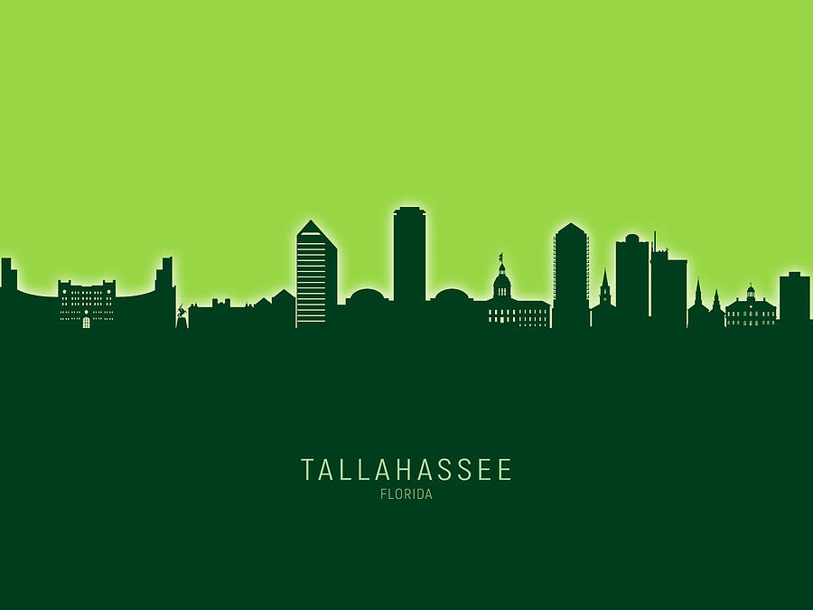 Tallahassee Digital Art - Tallahassee Florida Skyline #27 by Michael Tompsett