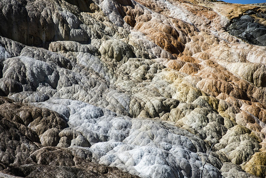 Travertine Terraces, Mammoth Hot Springs, Yellowstone #27 Photograph by Alex Grichenko