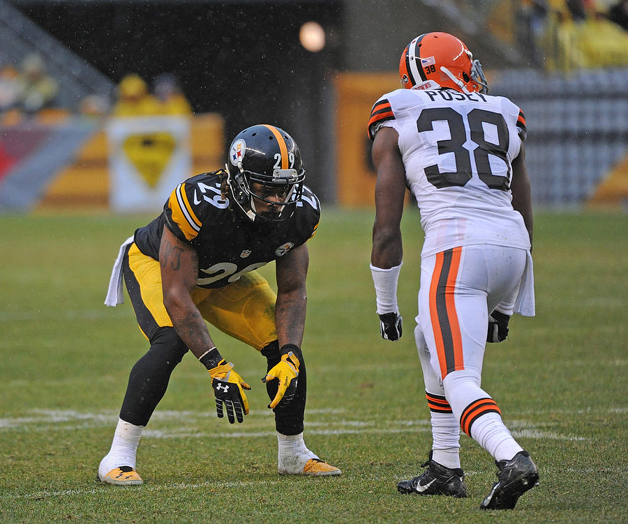 Cleveland Browns v Pittsburgh Steelers #272 Photograph by George Gojkovich