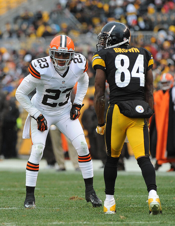 Cleveland Browns  v Pittsburgh Steelers #279 Photograph by George Gojkovich