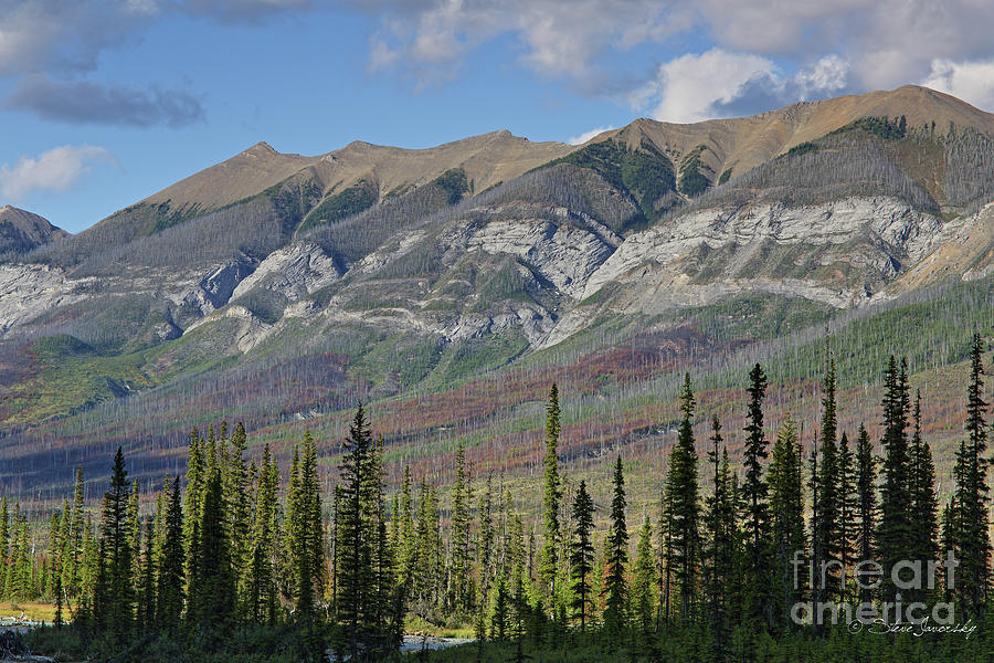 Banff and Jasper National Park #28 Photograph by Steve Javorsky