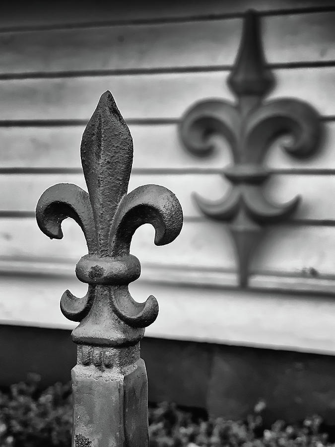 Charleston Wrought Iron Garden Gate in Detail, South Carolina #28 Photograph by Dawna Moore Photography