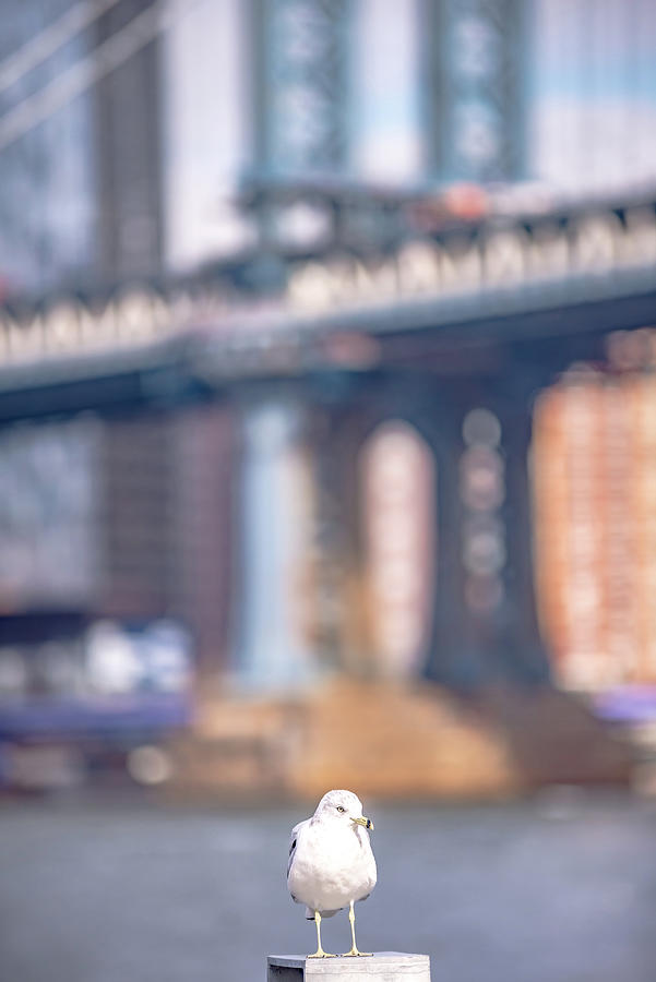Lower Manhattan New York City Panorama #28 Photograph by Alex Grichenko