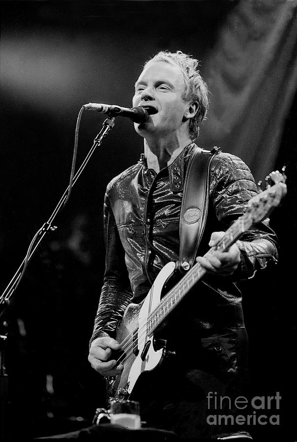 Sting Photograph by Concert Photos - Fine Art America