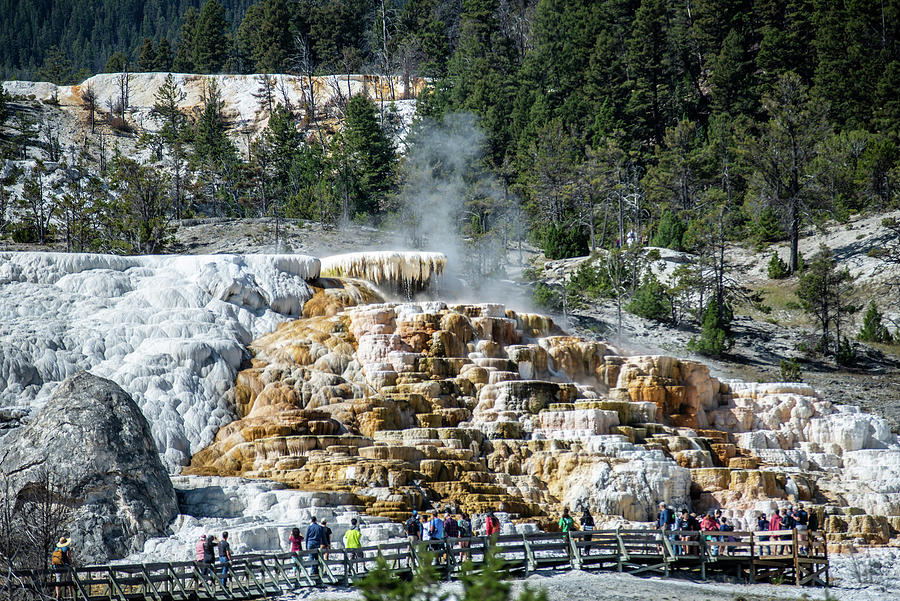 Travertine Terraces, Mammoth Hot Springs, Yellowstone #28 Photograph by Alex Grichenko