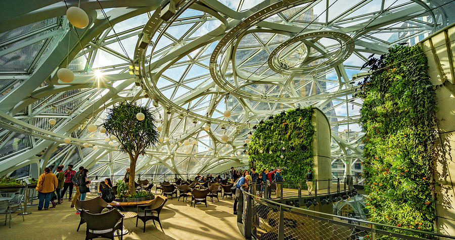 Amazon Spheres #29 Photograph by Tommy Farnsworth