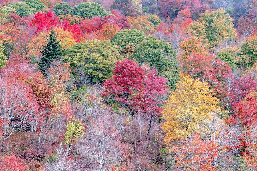 Autumn in the Appalachian Mountains Viewed Along the Blue Ridge  #29 Photograph by Alex Grichenko