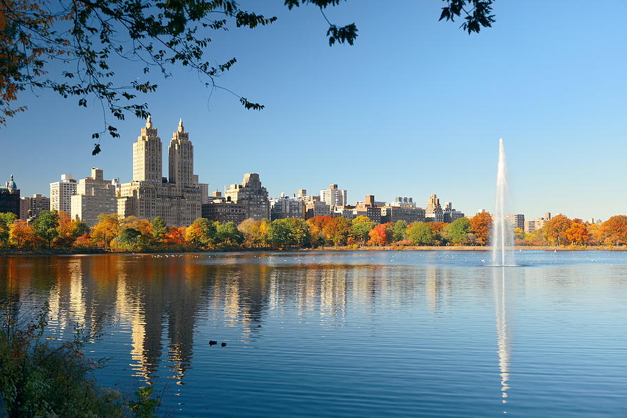 Central Park Autumn #29 Photograph by Songquan Deng