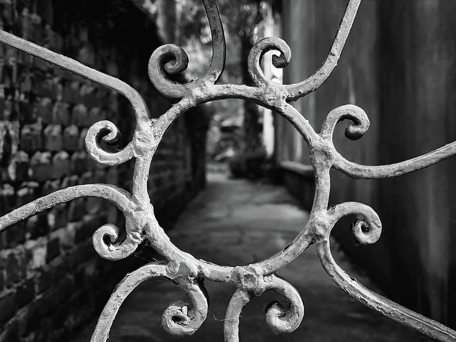Charleston Wrought Iron Garden Gate in Detail, South Carolina #29 Photograph by Dawna Moore Photography