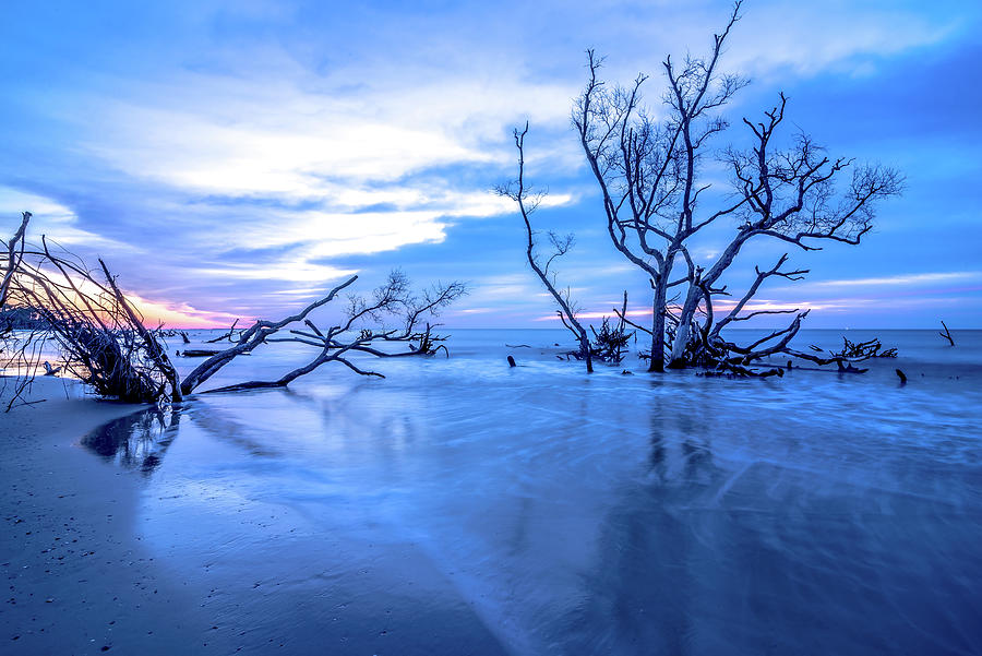 Hunting island south carolina beach scenes #29 Photograph by Alex Grichenko