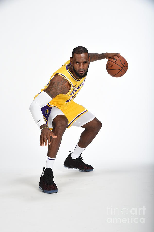 Lebron James #29 Photograph by Andrew D. Bernstein