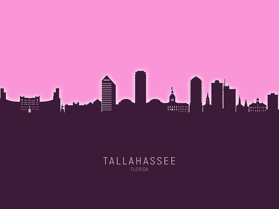 Tallahassee Photograph - Tallahassee Florida Skyline #29 by Michael Tompsett