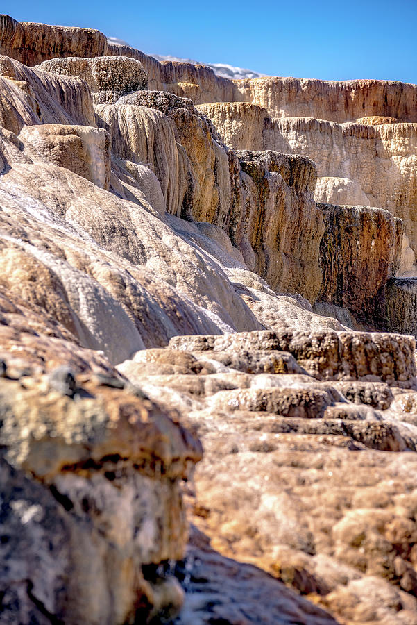 Travertine Terraces, Mammoth Hot Springs, Yellowstone #29 Photograph by Alex Grichenko
