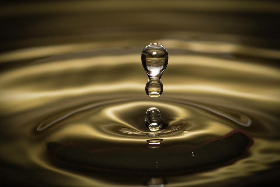 A Drop of Gold #3 Photograph by Patricia Mendes - Fine Art America