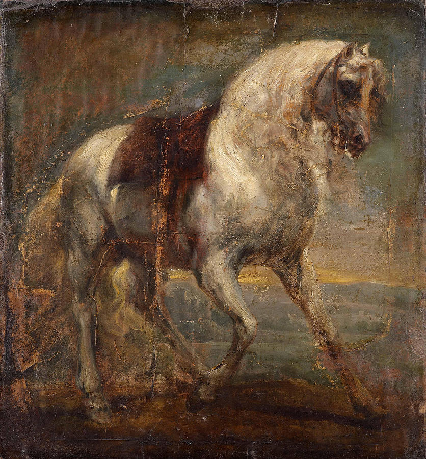 Anthony Van Dyck Painting - A Grey Horse  #3 by Anthony van Dyck