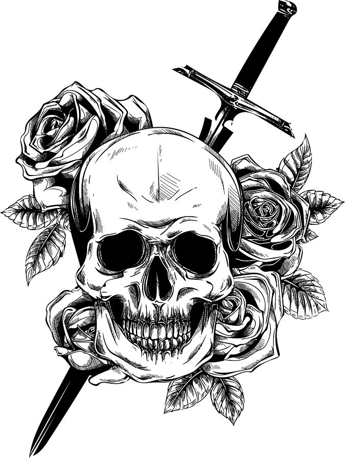 A human skull with roses on white background Digital Art by Dean ...