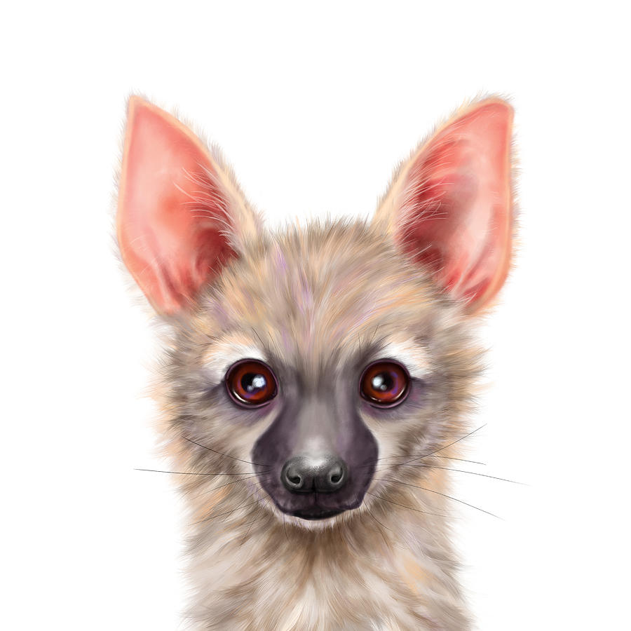 Aardwolf Digital Art by Nadia Parapanova | Fine Art America