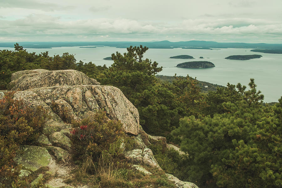 Acadia National Park Photograph by Katie Dobies