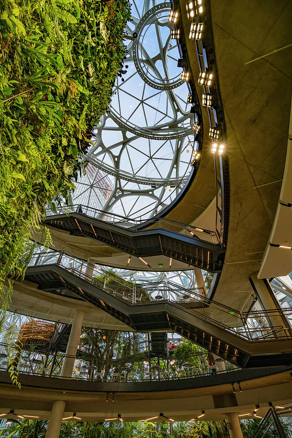 Amazon Spheres #3 Photograph by Tommy Farnsworth