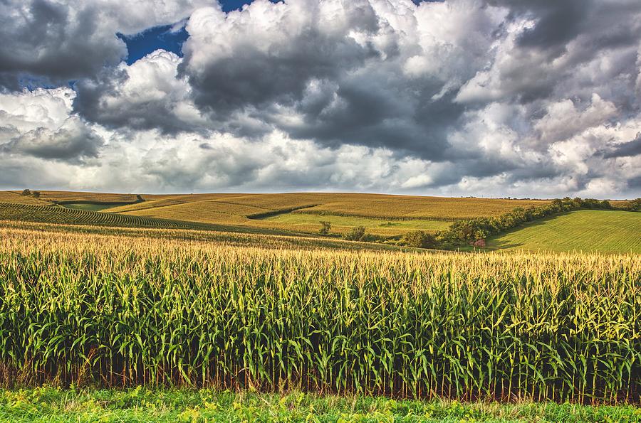 An Iowa Beauty Photograph by Mountain Dreams - Fine Art America