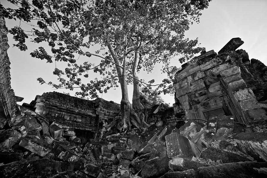 Angkor wat, cambodia #13 Photograph by Lie Yim