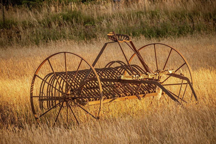 Antique hay rake in a farmer's field at sunset. Photograph by Robert ...