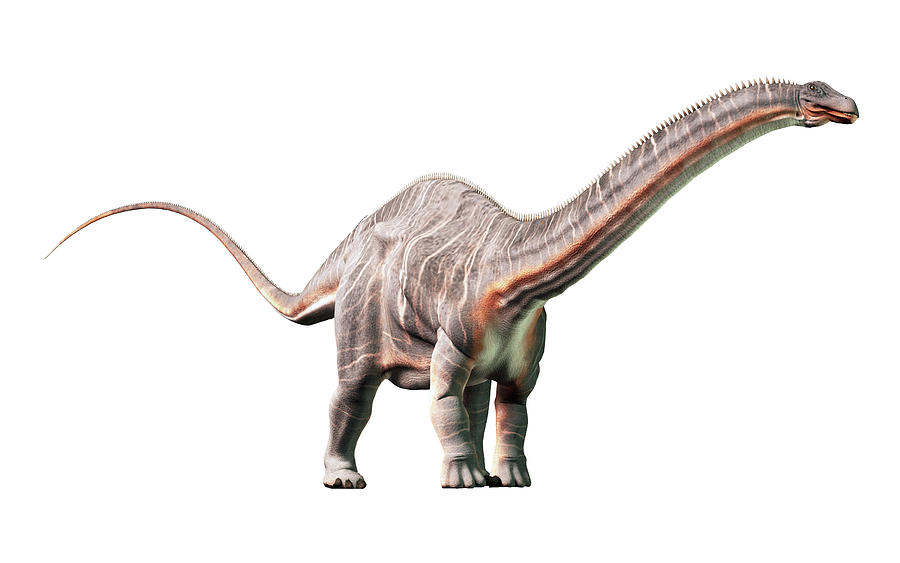Jurassic Park Digital Art - Apatosaurus #3 by Daniel Eskridge