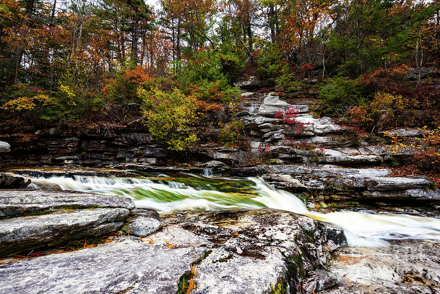 Appalachian Autumn Photograph by Stef Ko