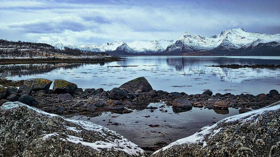 Arctic Reflections #3 Photograph by Mark Llewellyn