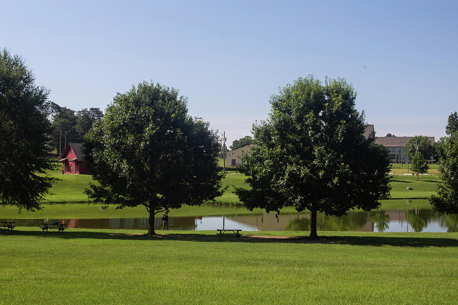 Two trees near pond at Auburn University Photograph by Eldon McGraw